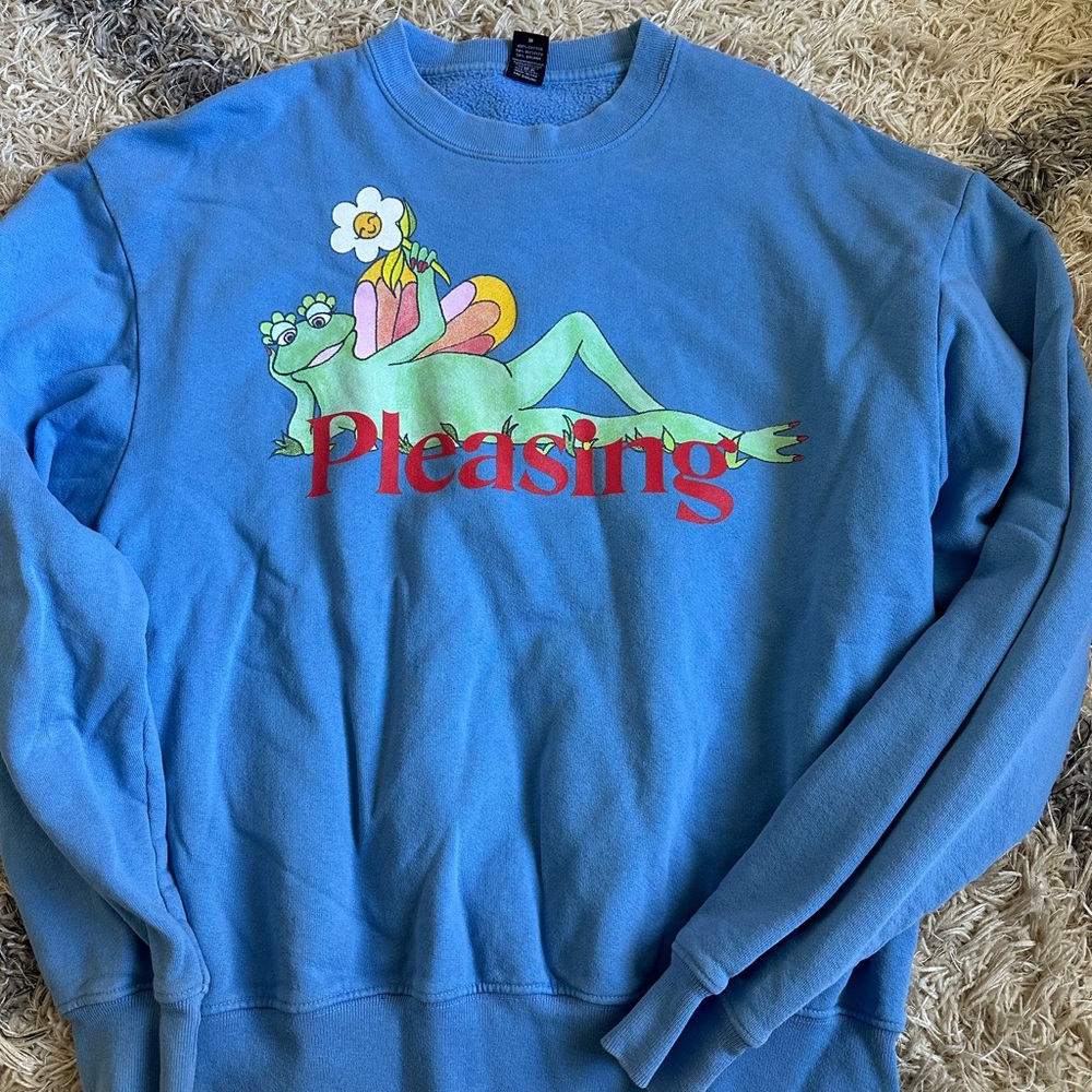 Blue Pleasing Sweatshirt with Frog Graphic